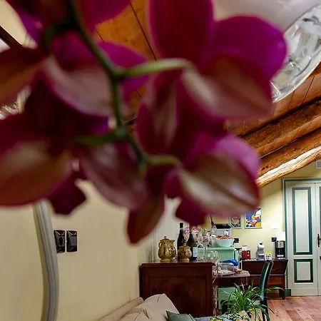 Ca D'i. Bed & Breakfast *