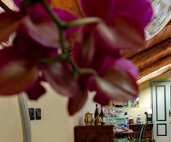 Ca D'i. לינה וארוחת בוקר 3*